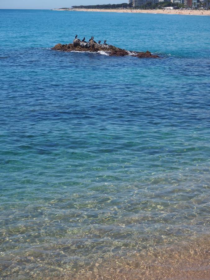 Apartamento Mar I Cel Blanes Exterior foto